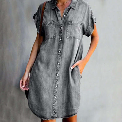 Zula denim dress