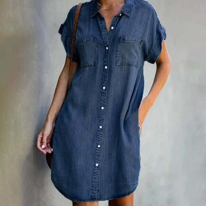 Zula denim dress