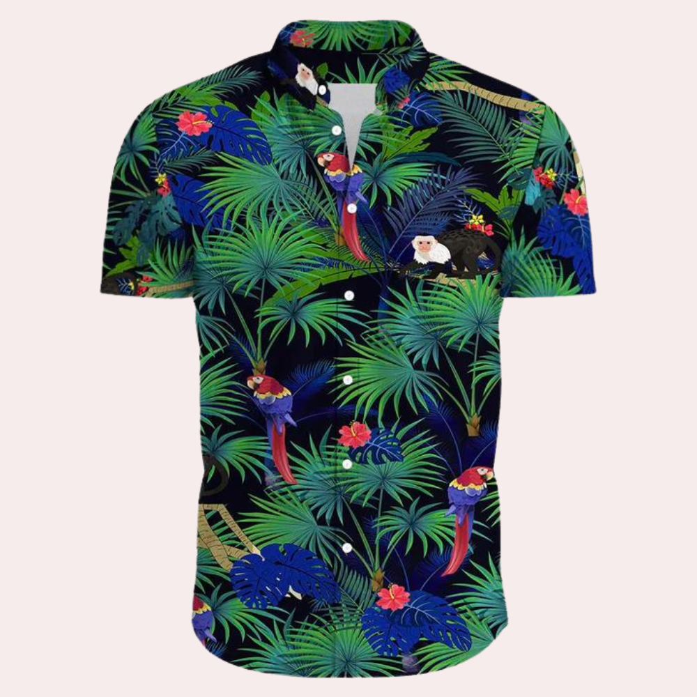 Stylish Hawaii shirt for men Dex