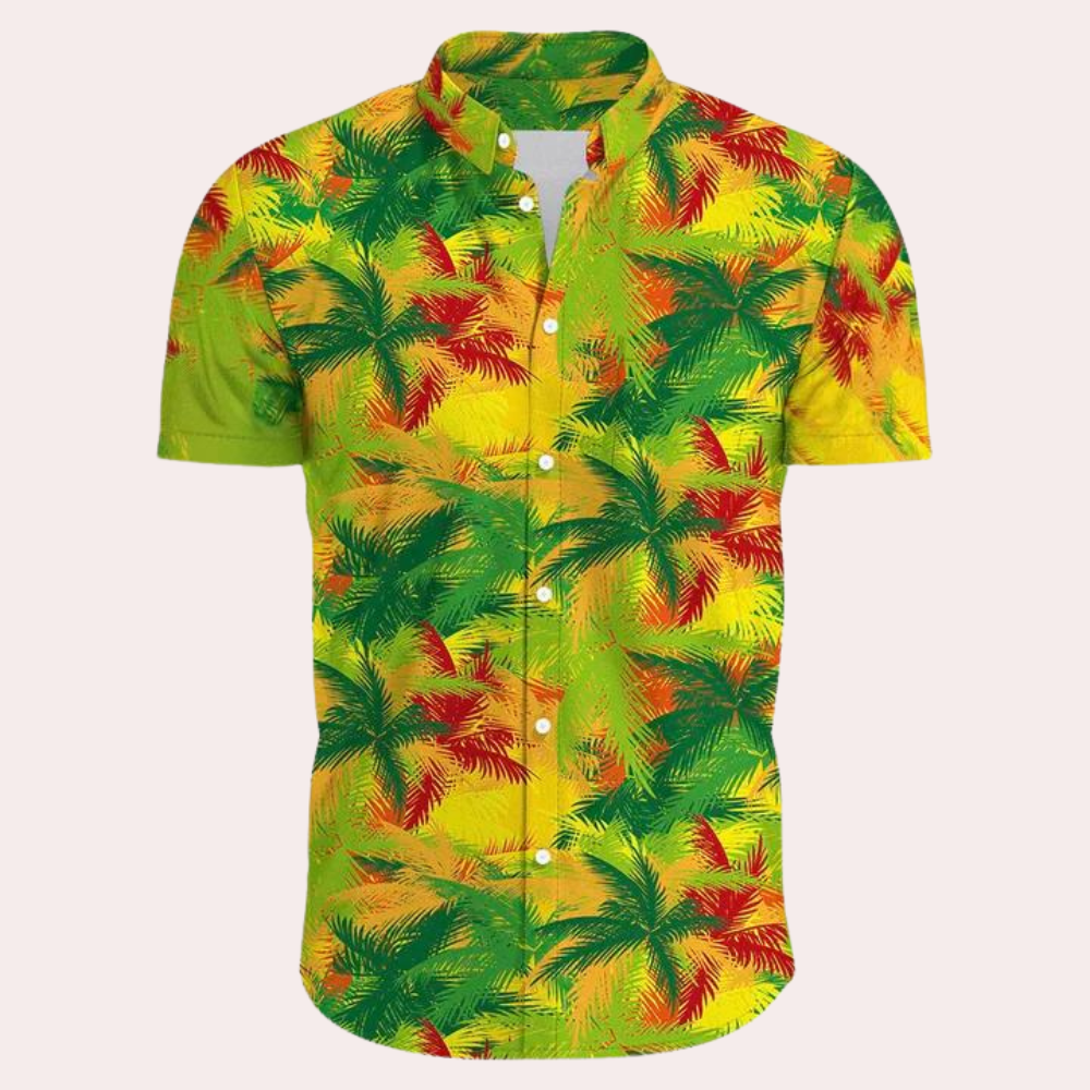 Stylish Hawaii shirt for men Dex