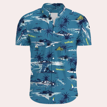 Stylish Hawaii shirt for men Dex