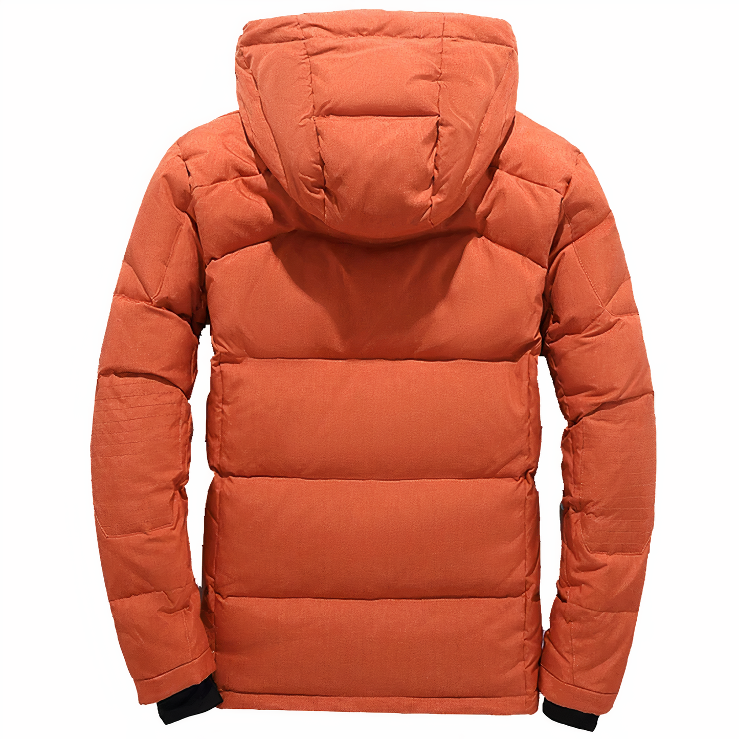 Premium winter jacket for men with removable hood Goose