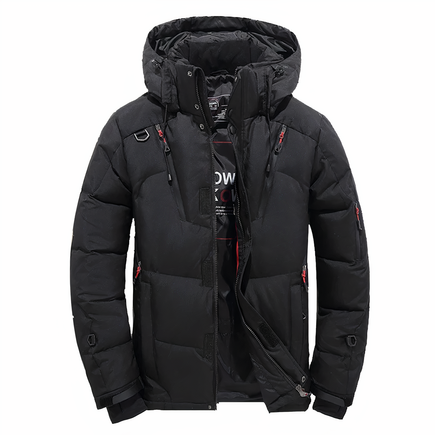 Premium winter jacket for men with removable hood Goose