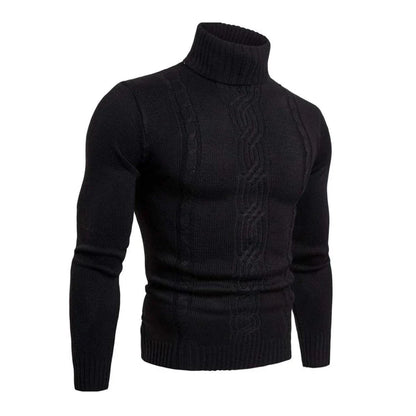 Lucian cable knit cotton turtleneck sweater